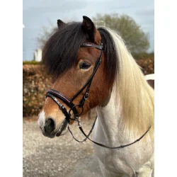 Hestagallery Glitra Nakkerem, Fuchsia