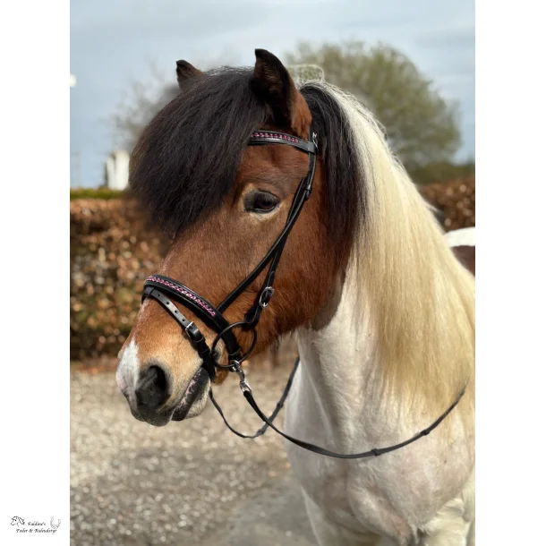 Hestagallery Glitra Nakkerem, Fuchsia