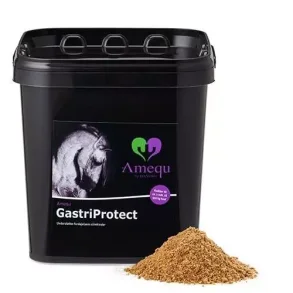 Amequ GastriProtect, 3 kg
