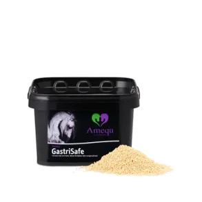 Amequ GastriSafe 1,5 kg