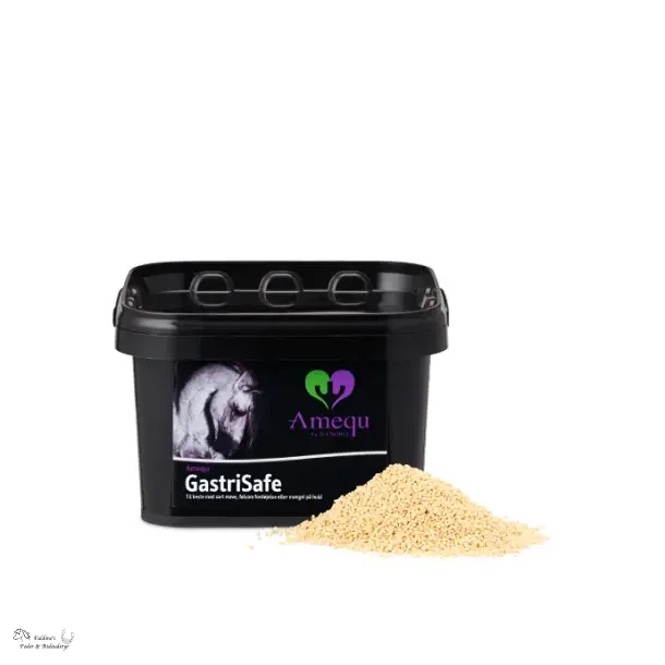 Amequ GastriSafe 1,5 kg