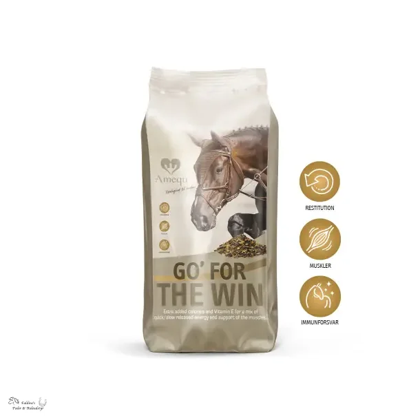 Amequ, GO' For The Win