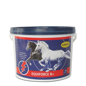 Havens EquiForce B+, 1 kg