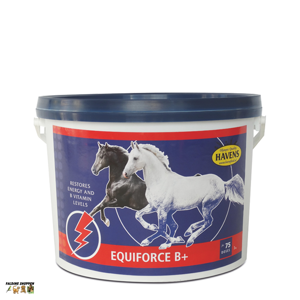 Havens EquiForce B+, 1 kg
