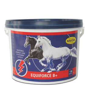 Havens EquiForce B+, 3 kg