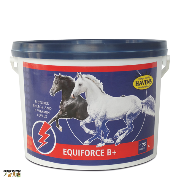 Havens EquiForce B+, 3 kg