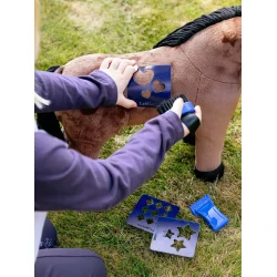 Lemieux Mini Pony, Gracie