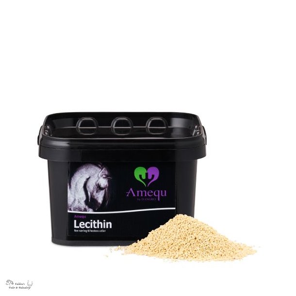 Amequ Lecithin