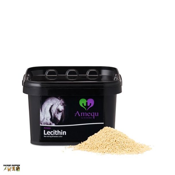 Amequ Lecithin