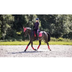 LeMieux Astra Let Jakke