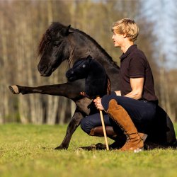 QHP Nalanta K�phest, Macho