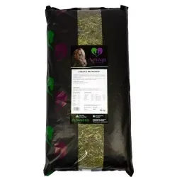 Amequ Omega-3 MetaSense