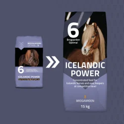 Brogaarden Optimal 6, Icelandic Power 