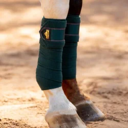 LeMieux Loire Polo Bandage, Spruce