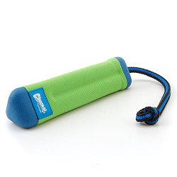 Chuckit Amphibious Bumper