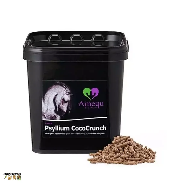 Amequ Psyllium CocoCrunch