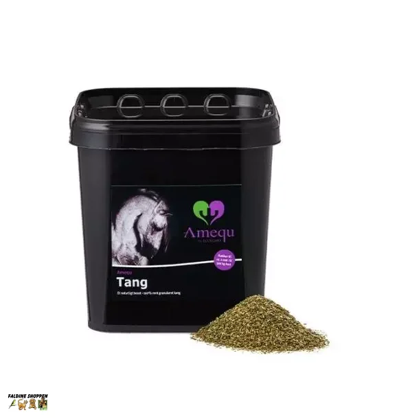 Amequ Tang, 3 kg