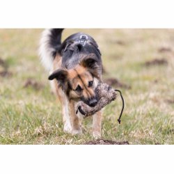 Dummy med kunstig pels