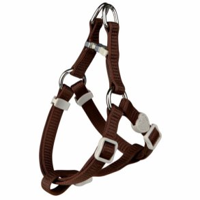 Kattest med sele og line