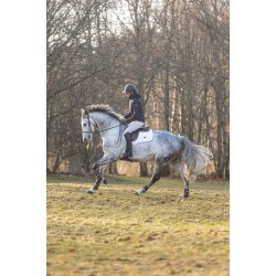 Stierna Storm Regnjakke